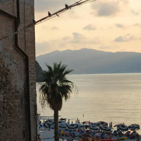 Fior Di Mandorlo 1924 Scilla